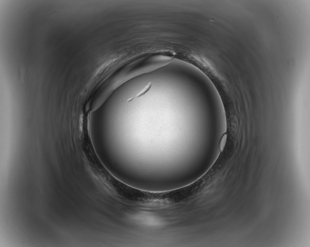 X0000087620543200704271400