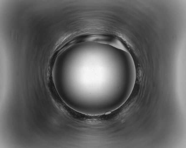 X0000087620544200704271400