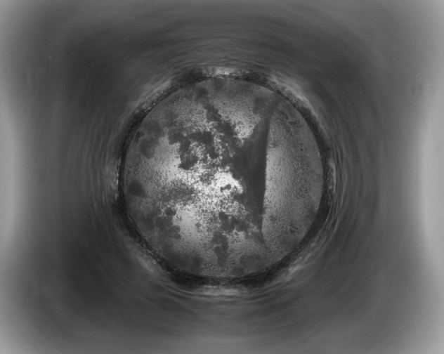 X0000087620545200704271400