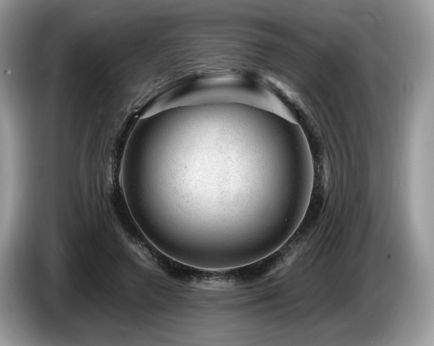 X0000087620546200704271400