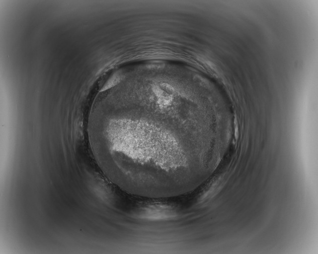 X0000087620547200704271400