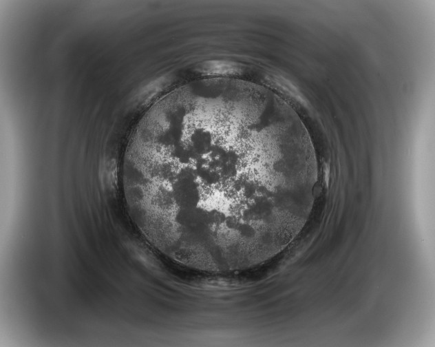 X0000087620549200704271400