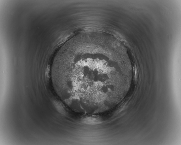 X0000087620550200704271400