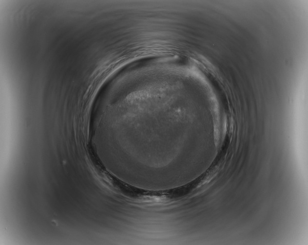 X0000087620552200704271400