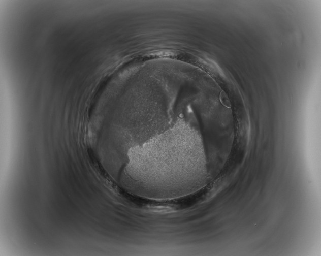 X0000087620553200704271400