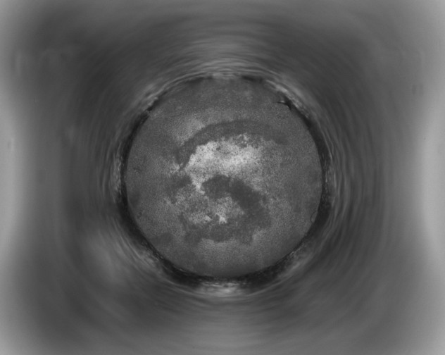 X0000087620554200704271400