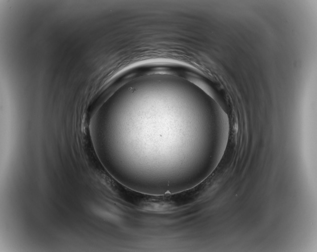 X0000087620555200704271400