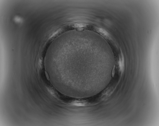 X0000087620556200704271400