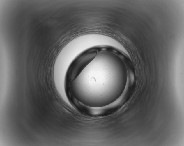 X0000087620558200704271400