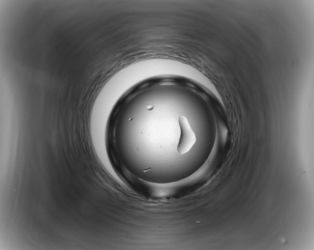 X0000087620562200704271400