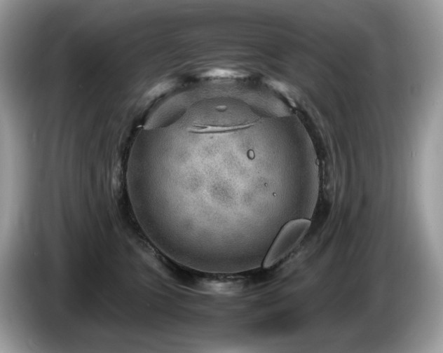 X0000087620563200704271400