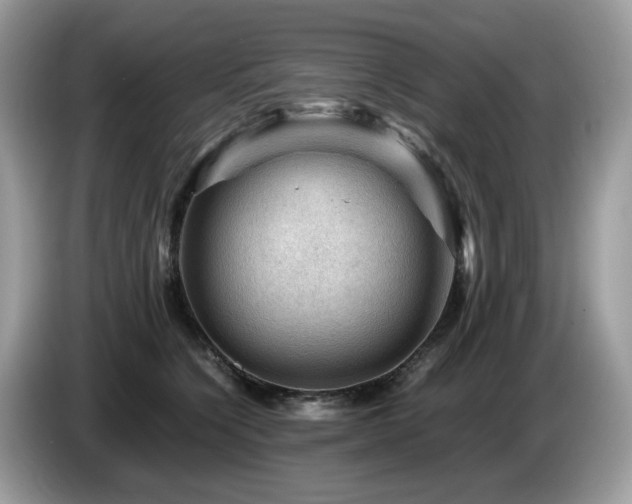 X0000087620564200704271400