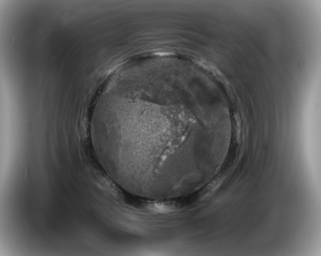 X0000087620565200704271400