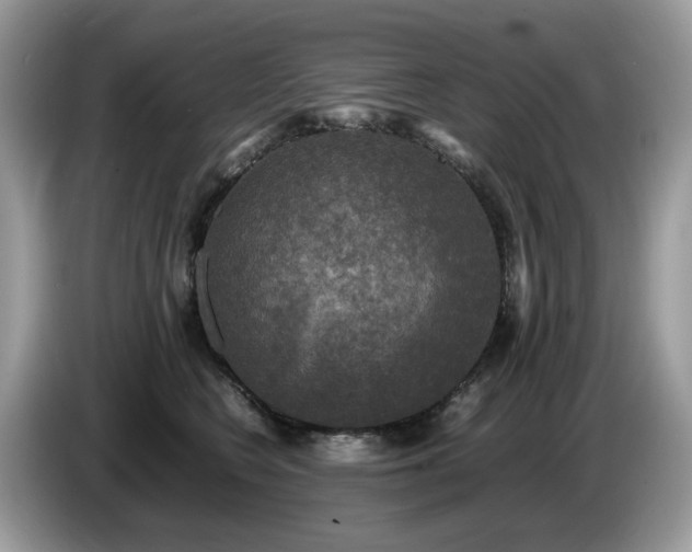 X0000087620566200704271400