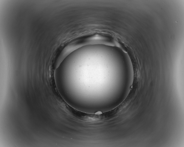 X0000087620567200704271401