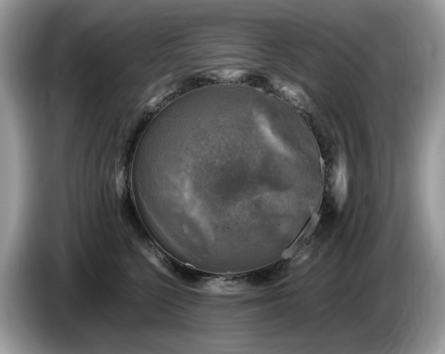 X0000087620568200704271401