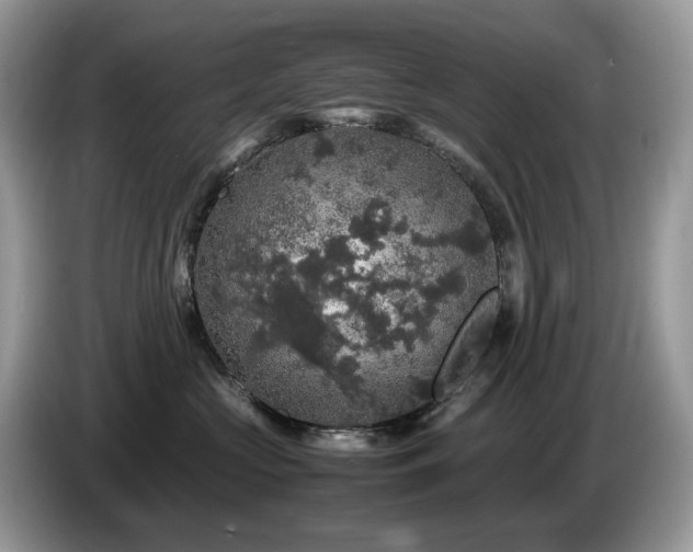 X0000087620573200704271401