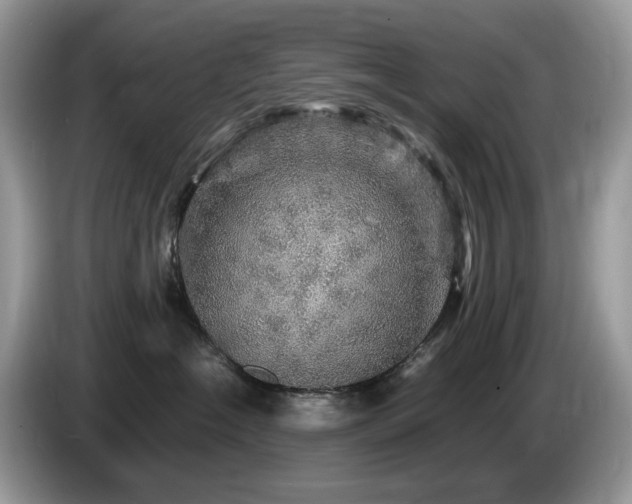 X0000087620574200704271401
