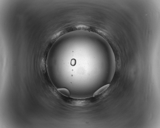 X0000087620575200704271401