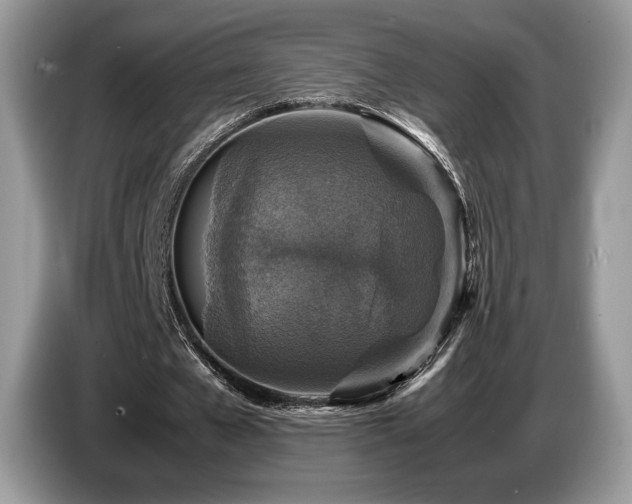 X0000087620577200704271400