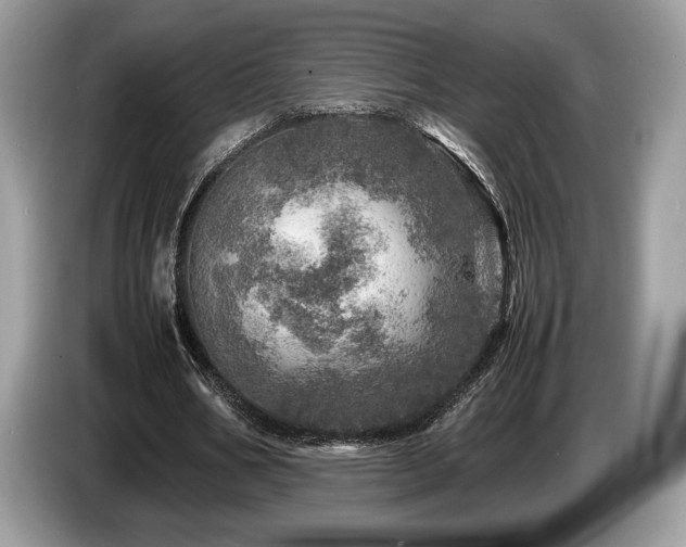X0000087620578200704271400