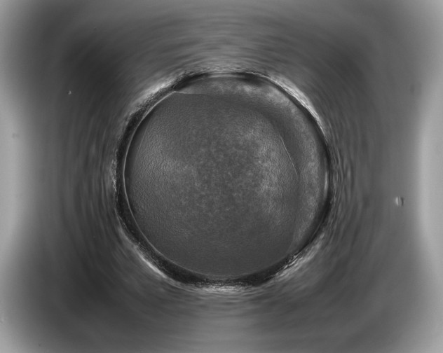 X0000087620581200704271400