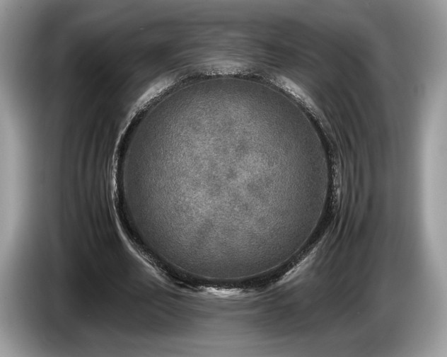 X0000087620582200704271400