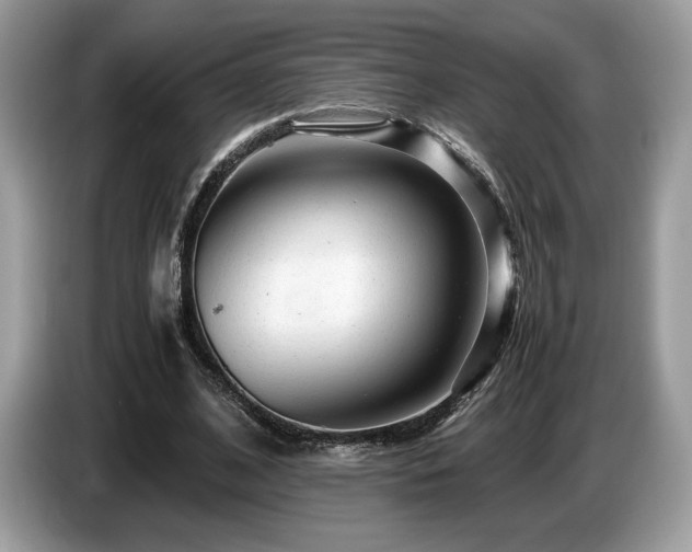 X0000087620584200704271400