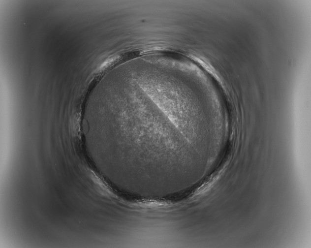 X0000087620585200704271400