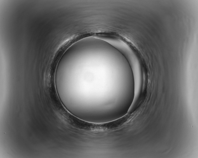 X0000087620587200704271400