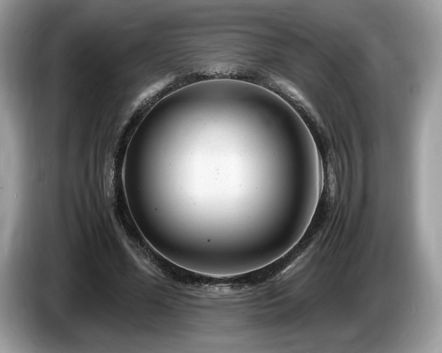 X0000087620588200704271400