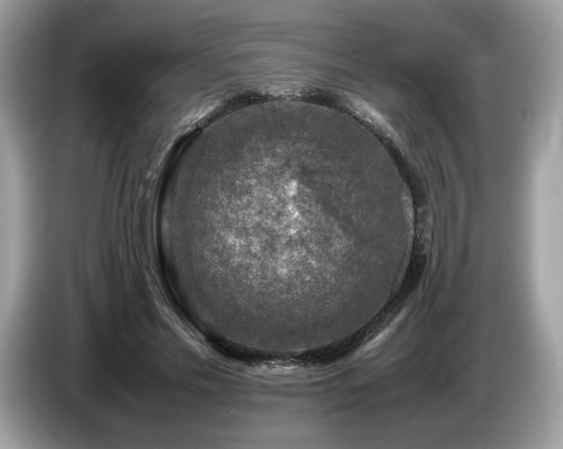 X0000087620589200704271400