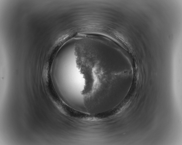 X0000087620590200704271400