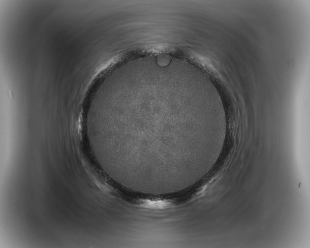 X0000087620591200704271400