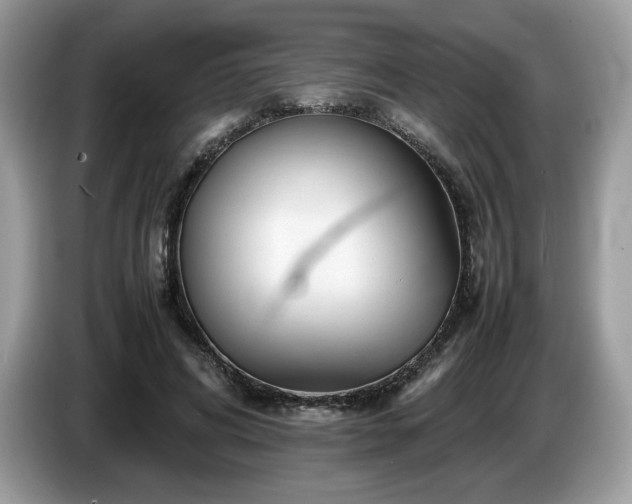 X0000087620592200704271400