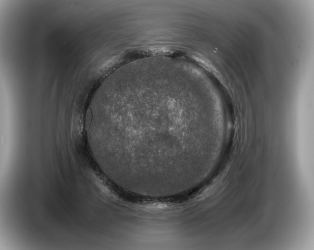 X0000087620593200704271400