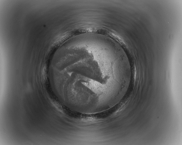 X0000087620594200704271400