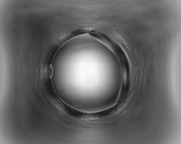 X0000087620597200704271400