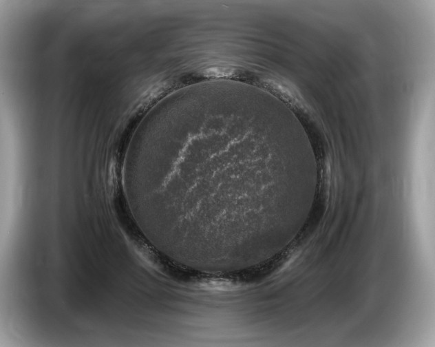 X0000087620598200704271400