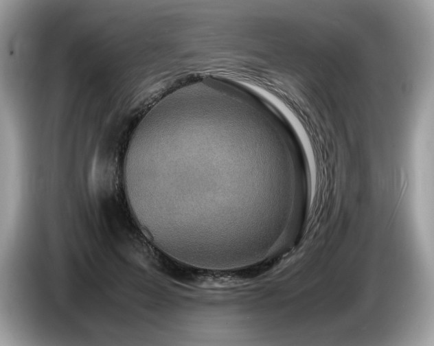 X0000087620599200704271400