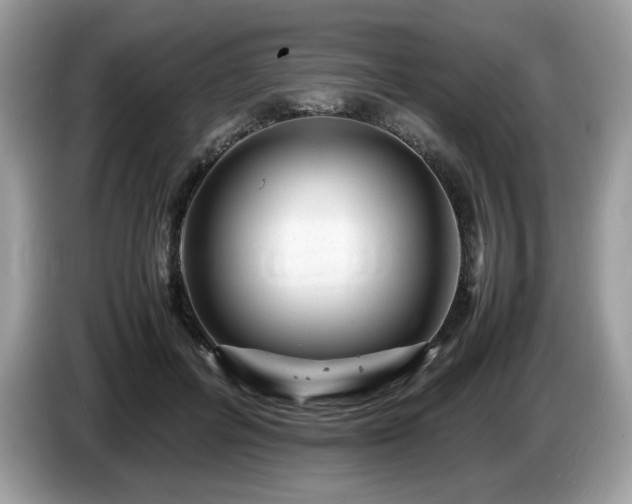 X0000087620600200704271400