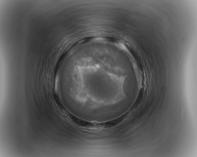 X0000087620604200704271400