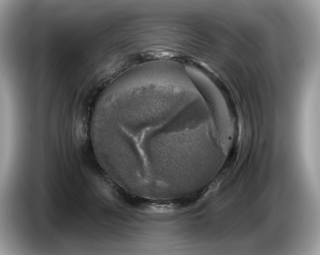 X0000087620606200704271400