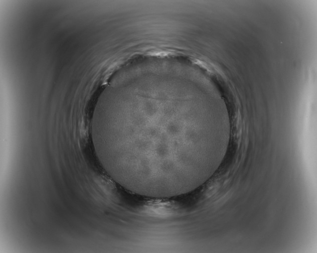 X0000087620607200704271400