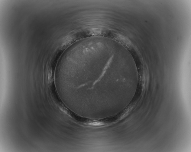 X0000087620610200704271400