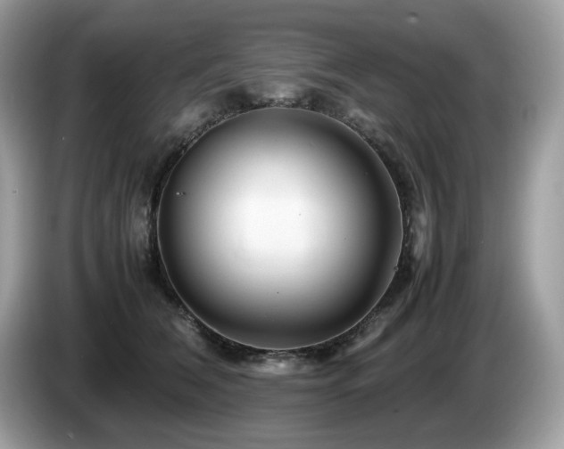 X0000087620612200704271400