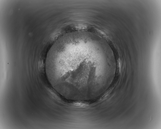 X0000087620614200704271400