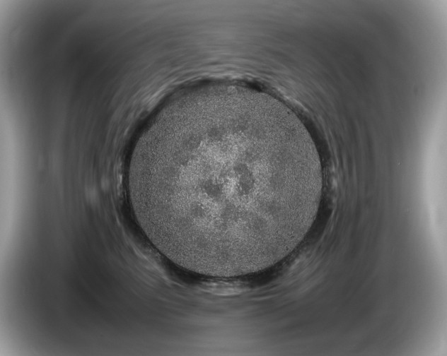 X0000087620615200704271400