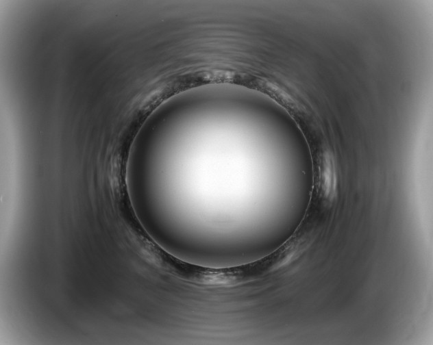 X0000087620616200704271400