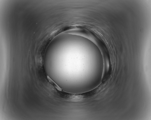 X0000087620617200704271400